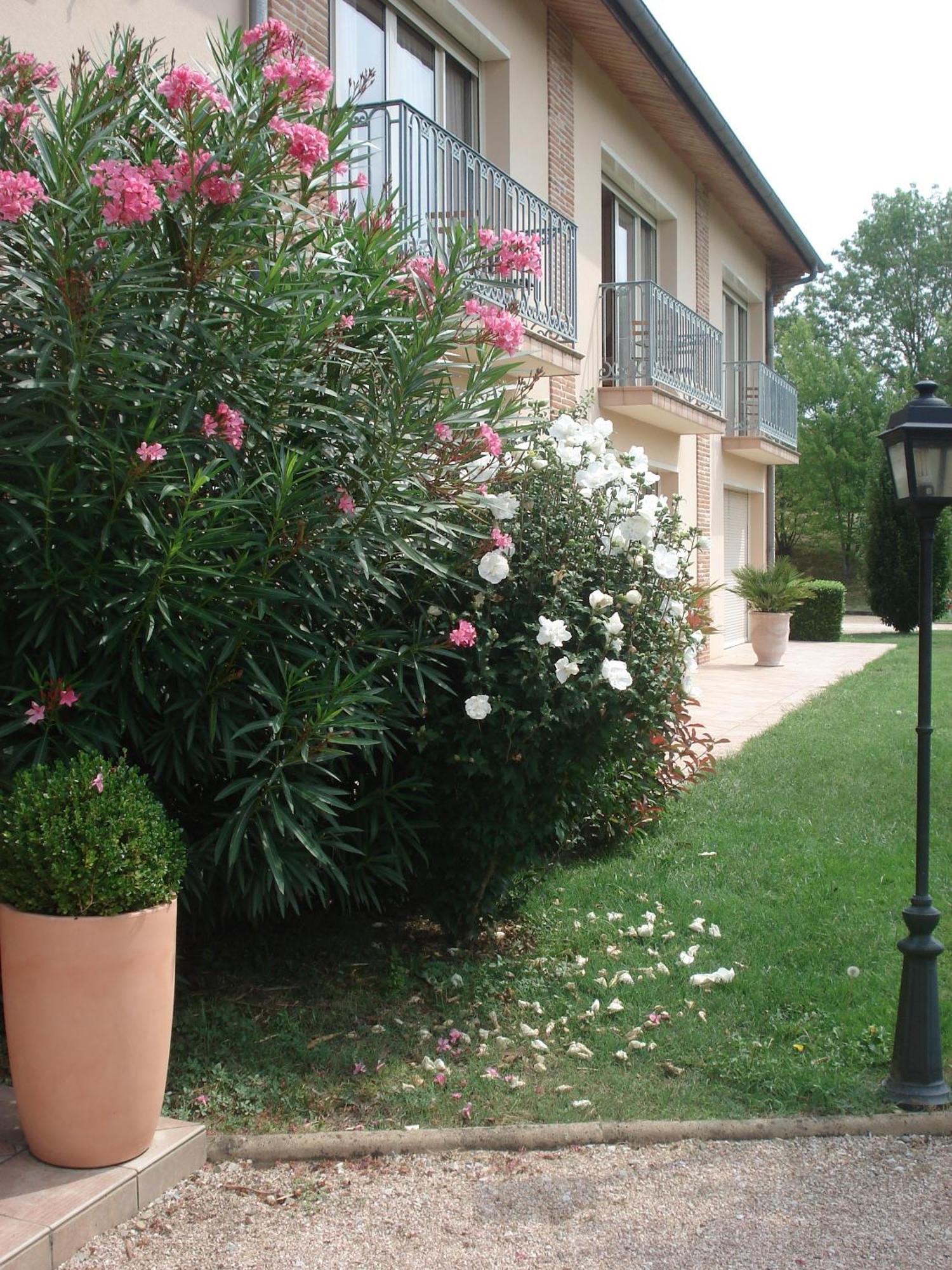 Отель L'Oustal Du Lauragais Labastide-Beauvoir Экстерьер фото
